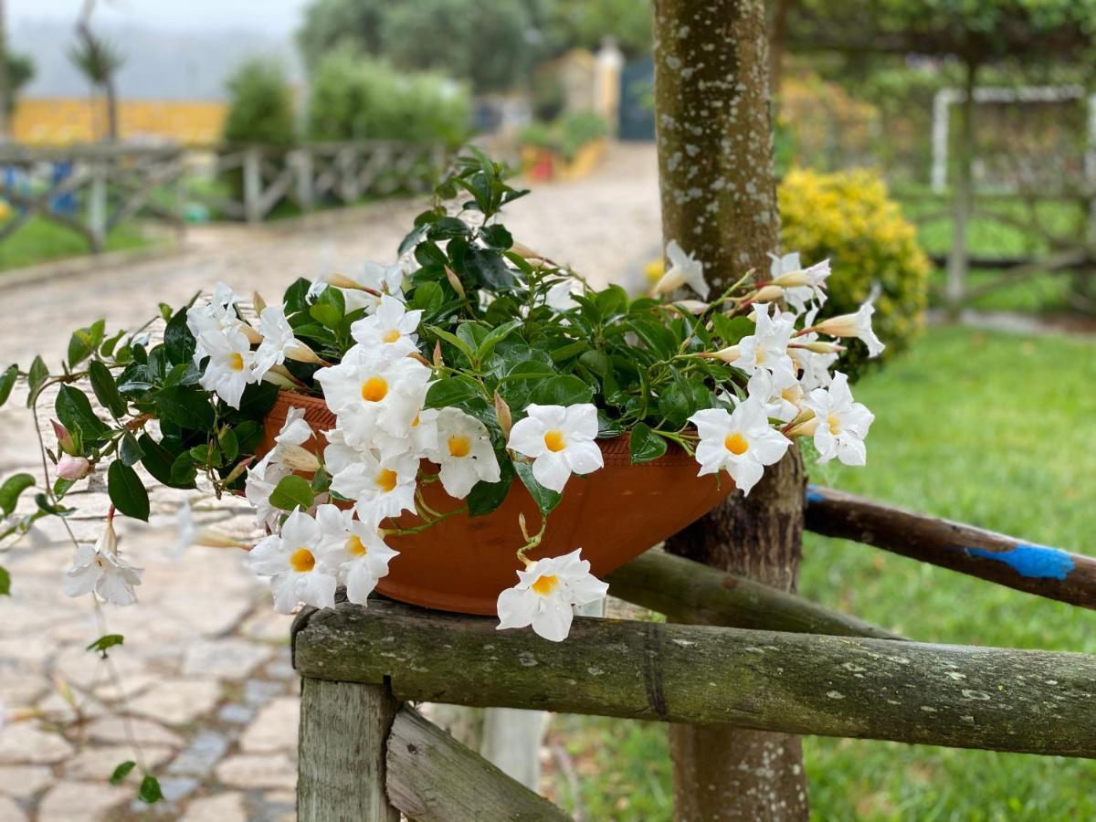 Charm Azenha Dobidos Farm Villa Olho Marinho Екстериор снимка
